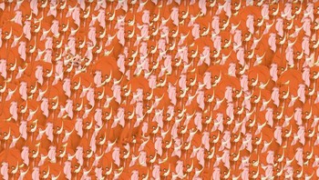 Ada di mana yaa Pumba? Foto: Brightside