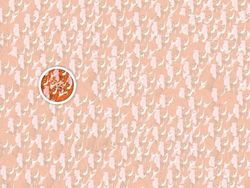 Uji Kecepatan Mata Dengan Mencari Karakter Kartun Tersembunyi