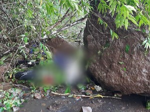 Imbas Gempa Malang, Satu Orang Tewas Tertimpa Reruntuhan Batu di Lumajang