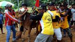 Potret Keseruan Karapan Sapi se-Madura dan Probolinggo