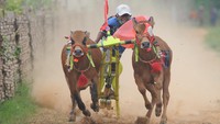 Joki memacu sapi karapan saat kejuaraan kerapan sapi se Madura di Desa Mortajih, Pamekasan, Jawa Timur, Jumat, Sabtu (10/4/2021). 
