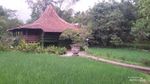 Foto: Rekomendasi Villa Cantik Tepi Sawah di Ungaran