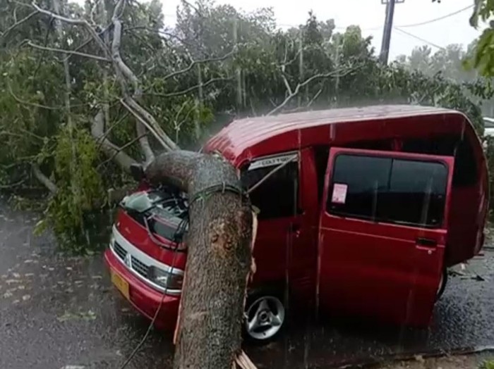 Pohon tumbang di Jalan Didi Kartasasmita, Kota Banjar, menimpa sebuah mobil angkutan umum, Sabtu (10/4/20121).