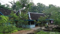 Bagaimana menurutmu? (Pradito Rida Pertana/detikcom)