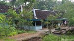 Foto Pedukuhan Jelok dengan Rumah Limasan-nya