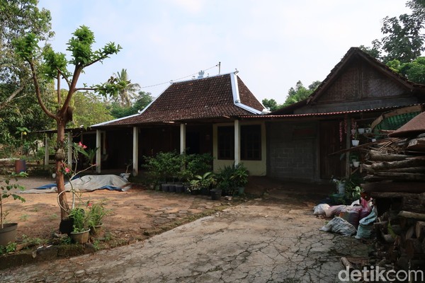 Sejak kapan warga Pedukuhan Jelok memilih rumah limasan sebagai jenus rumah yang ditinggali? Winarno mengaku tidak tahu pasti. Sebab, dia mendapatkan rumah limasan itu dari warisan orang tuanya. Sejak kapan warga Pedukuhan Jelok memilih rumah limasan sebagai jenus rumah yang ditinggali? Winarno mengaku tidak tahu pasti. Sebab, dia mendapatkan rumah limasan itu dari warisan orang tuanya.