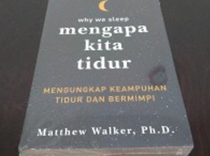 Memperbaiki Pengetahuan Kita tentang Tidur
