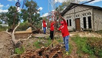 Pemulihan jaringan dan layanan difokuskan pada beberapa area vital, seperti Kantor Pemerintahan, Kepolisian, Posko Pengungsian, Rumah Sakit, dan Posko BASARNAS guna memudahkan proses komunikasi mereka.