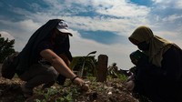 Foto: Ziarah makam dilakukan sebelum memasuki Bulan Ramadhan (Andhika Prasetia/detikcom)