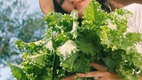 Selain bokcoy dan bayam, di kebun mungil milik Atiqah Hasiholan juga terdapat sayuran kale. Nah, ini adalah momen Atiqah saat memanne sayur kale. Foto: Instagram @atiqahhasiholan