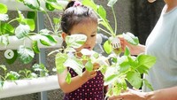 Waktu memanen, istri dari Rio Dewanto ini selalu mengajak putri satu-satunya untuk ikut berkebun. Beginilah keseruan mereka saat memanen sayur bayam. Foto: Instagram @atiqahhasiholan