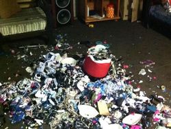 Nasib Apes Kala Belanja Online Tak Sesuai Harapan