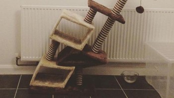 Amazon melakukan kesalahan pada saya dengan pohon kucing ini. Foto: Brightside