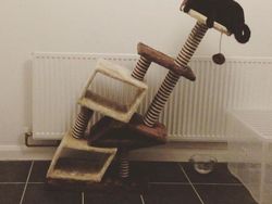 Nasib Apes Kala Belanja Online Tak Sesuai Harapan