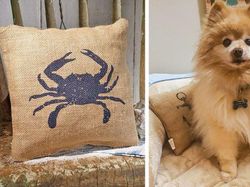 Nasib Apes Kala Belanja Online Tak Sesuai Harapan