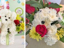 Nasib Apes Kala Belanja Online Tak Sesuai Harapan