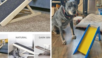 “Ibuku memerintahkan langkah-langkah untuk anjing tersebut. Urutan dan apa yang kami dapatkan tidak cukup cocok. Foto: Brightside