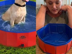 Nasib Apes Kala Belanja Online Tak Sesuai Harapan