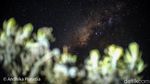 Indahnya Galaksi Bimasakti dari Gunung Gede yang Manjakan Mata
