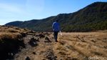 Indahnya Galaksi Bimasakti dari Gunung Gede yang Manjakan Mata