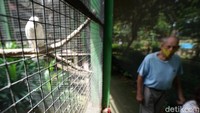 Mereka juga akan mengadakan penggalangan dana dengan Dinner at The Zoo.