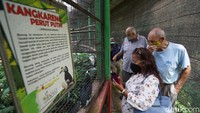 Makan malam ditepi telaga di kawasan TSTJ yang akan direncanakan bulan Juni atau Juli bulan depan dengan target 300 peserta. Dimana acaranya ada lelang nama satwa yang baru lahir dan selfie dengan satwa.