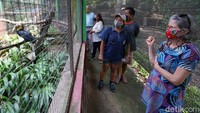 Belasan ekspatriat yang tergabung dalam SEA (Solo Expats Association) melakukan kunjungan ke Taman Satwa Taru Jurug (TSTJ) Minggu (11/04/2021).