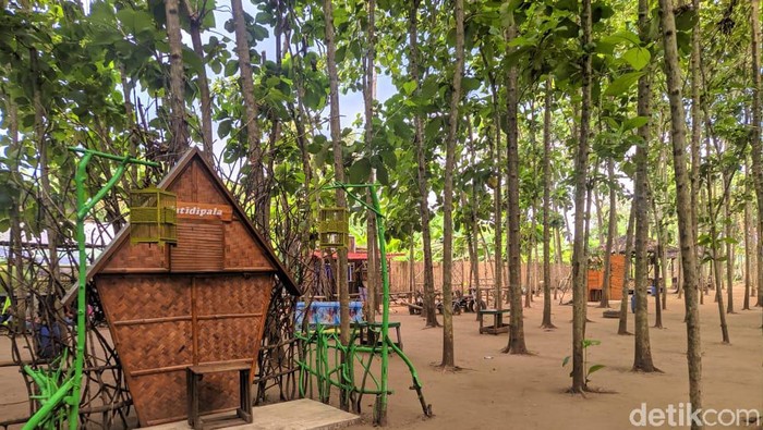 Kebon Jatidipala di Karawang, Jabar