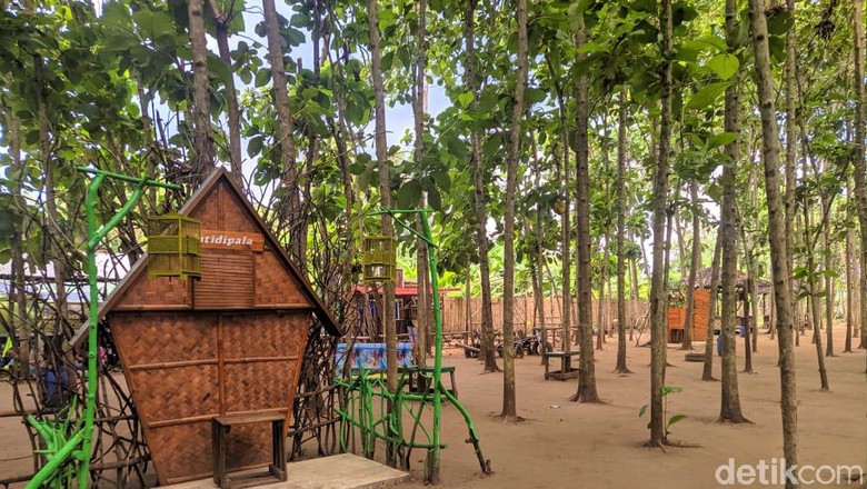 Kebon Jatidipala di Karawang, Jabar Kebon Jatidipala di Karawang, Jabar