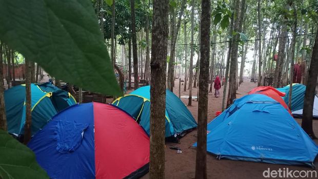 Kebon Jatidipala di Karawang, Jabar
