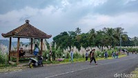 Dari pusat Kota Jogja, jaraknya sekitar 30 Km atau satu jam perjalanan menggunakan kendaraan bermotor. Jalan menuju ke Kebun Tebu Gendu tergolong bagus, namun agak berbukit dan cukup curam. (Jalu Rahman Dewantara/detikTravel)