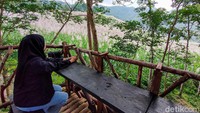 Di tempat ini juga telah tersedia lahan parkir yang cukup luas dan sejumlah gazebo. Terdapat pula warung kopi yang menyediakan pelbagai aneka minuman dan makanan. Kebun tebu ini mulai booming di tahun 2018. (Jalu Rahman Dewantara/detikTravel)
