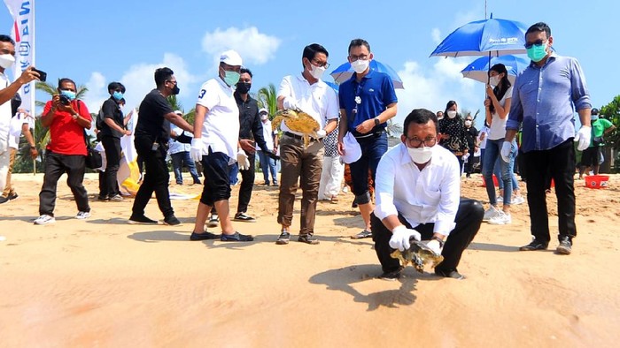 Konservasi Terumbu Karang-Pelepasan Tukik Jaga Kelestarian Lingkungan Beragam cara dilakukan untuk menjaga kelestarian lingkungan di Pulau Dewata Bali. Salah satunya dengan konservasi terumbu karang-Pengembangan Tukik.