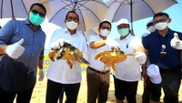 Hadir dalam acara tersebut Direktur Utama PT Bank Tabungan Negara (Persero) Tbk. Haru Koesmahargyo didampingi Anggota Komisi XI DPR RI Eriko Sotarduga, Direktur Nusa Dua Reef Foundation Pariama Hutasoit, dan Sekda Kabupaten Badung I Wayan Adi Arnawa yang juga ikut melepasliarkan tukik di pantai Nusa Dua, Denpasar.