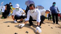 Perbankan plat merah BTN ini juga melakukan prosesi pelepasan tukik dan konservasi terumbu karang di pantai Nusa Dua, Denpasar, Bali.