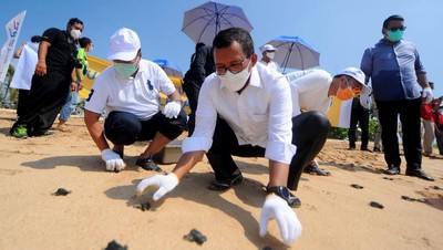 Lestarikan Lingkungan dengan Konservasi Terumbu Karang-Pelepasan Tukik