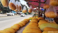 Timun suri yang dijual di Jalan Raya Kemang rata-rata merupakan hasil tanaman para petani di Desa Kemang dan sekitarnya.  