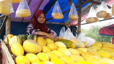 Jelang Ramadhan, Pedagang Timun Suri di Bogor Mulai Menjamur
