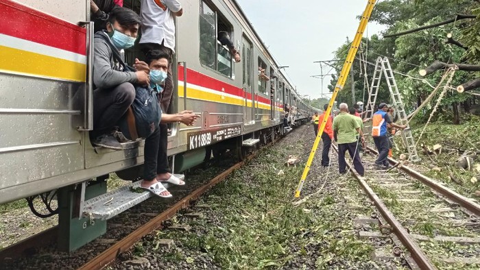 Petugas KCI Masih Berupaya Mengevakuasi Pohon Tumbang di Rute Lintasan Tanah Abang-Sudimara