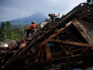 Data Korban dan Kerusakan Akibat Gempa Malang