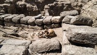 Melansir BBC Indonesia kota kuno itu diduga merupakan peninggalan masa kekuasaan Amenhotep III yang diketahui merupakan salah satu firaun paling kuat di Mesir yang memerintah dari 1391 hingga 1353 sebelum Masehi.