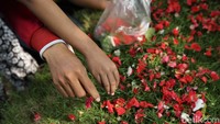 Seperti diketahui, bunga menjadi salah satu elemen yang tak dapat dilepaskan saat berziarah. Pasalnya bunga-bunga itu nantinya akan ditaburkan di atas makam anggota keluarga.