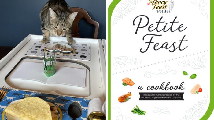 Unik! Tiga Chef Ini Ciptakan Buku Resep Terinspirasi Makanan Kucing