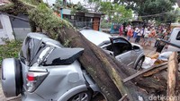 Kapolsek Kiara Condong AKP Deden Deni mengatakan, kejadian ini terjadi sekitar Pukul 14.00 WIB, hingga Pukul 16.30 WIB petugas gabungan masih melakukan evakuasi pohon tumbang ini.