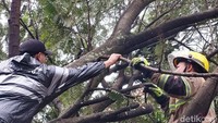 Pohon tumbang juga terjadi di Jalan Gambelan, Kelurahan Turangga, Kecamatan Lengkong. Pohon itu menimpa kabel listrik.