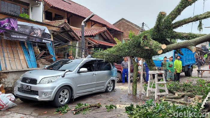 Waduh, 3 Mobil Rusak Tertimpa Pohon Tumbang di Bandung Hujan disertai angin kencang terjadi di Kota Bandung. Akibatnya sejumlah pohon dilaporkan tumbang menimpa mobil hingga kabel listrik.
