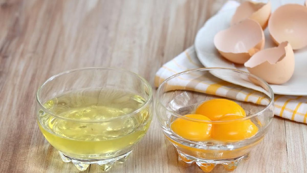 Nutrisi Putih Telur