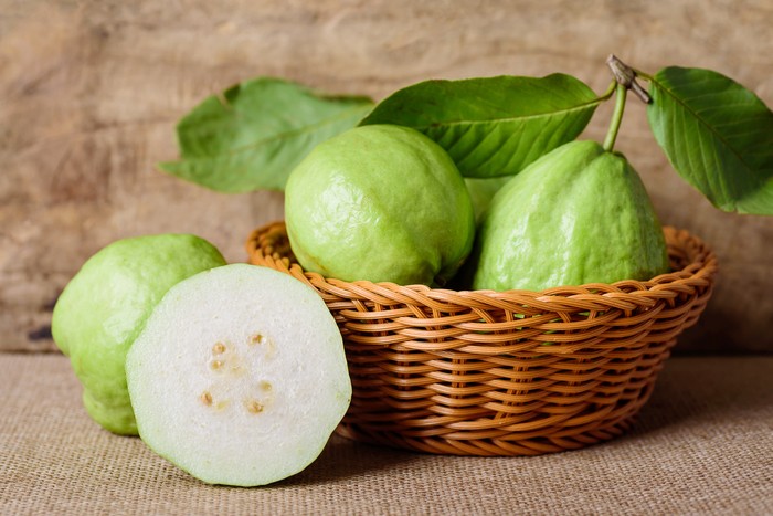 Jambu biji