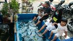 Wuih, Ada Kebun Binatang Mini di Kelurahan Karet Jaksel
