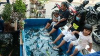 Di sini, terdapat kolam ikan terapi yang bisa dimanfaatkan. (Andhika Prasetia/detikcom)